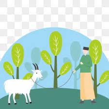 51 gambar hewan kurban kartun png gratis terbaik. Domba Qurban Idul Adha Haji Idul Qurban Hari Islam Ilustrasi Vektor Ilustrasi Desain Pamflet