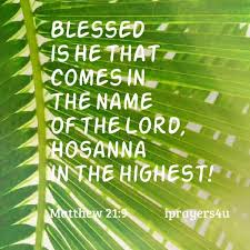 Palm sunday is a favorite time for many christians across the world and if you are looking for great palm sunday quotes then look no further. Inspirational Bible Quotes Palm Sunday Jpg Beautiful Palm Sunday Quotes From The Bible Allquotesideas Dogtrainingobedienceschool Com