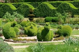 Topiary Can Shape Up Your Yard French Garden Topiary Topiary Garden