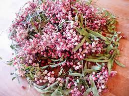 Peruvian Pink Peppercorns A Surprising Backyard Forage Garden Betty
