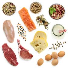 Image result for Protein