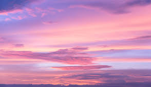 Download and use 10,000+ pink stock photos for free. Color Grading Tips The Ins And Outs Of Correcting For A Pink Sky