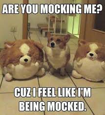 Share it with your friends to make them smile! Funny Animal Memes Funny Images Clean Memes