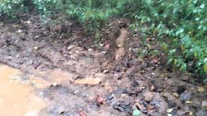 2021 when I was working