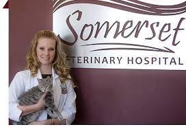 Mary greeley medical center hospital. Veterinarians And Animal Hospital In Ames Ia Somerset Veterinary Hospital