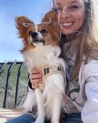 Grandma's knitting buddies.