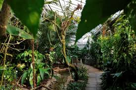 We did not find results for: Botanischer Garten Dresden 5 Dinge Die Du Noch Nicht Wusstest So Lebt Dresden