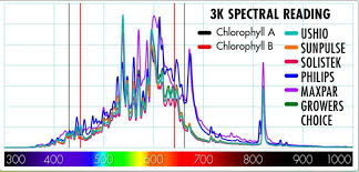 information about grow light spectrum par photosynthesis