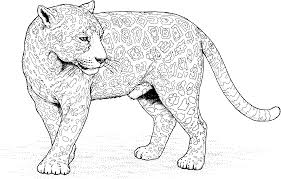 We did not find results for: Jaguars Coloring Pages Novocom Top