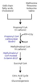 cyanocobalamin wikipedia