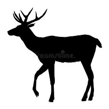 We did not find results for: Decoration Elegance Horned Object Shadow Buck Doe Big Vintage Cervus Cute Dappled Engraving Graceful Stock Vector Illustration Of Elegant Mature 108231393