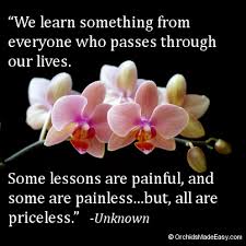 Orchid Quote We Learn Something From Everyone Orchidsmadeeasy Com Orchid Flower Orchid Wallpaper Beautiful Orchids