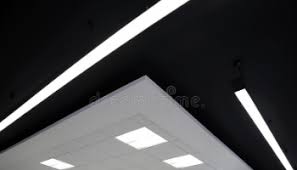 Vals Plafond Prijs Soorten En De Plaatsing