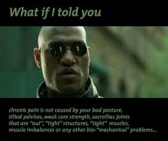 Fryer, Gary. "Somatic dysfunction: A osteopathic conundrum." International  Journal of Osteopathic Medicine 22 (2016): 52-63.] Articolo molto recente  (2016). Seguendo la scia di Korr e Van Burskirk, anche Fryer si interroga su