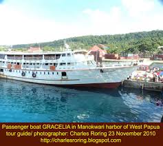Namun kali ini jakarta memiliki sebuah pantai pasir putih yang bagus dan lengkap dengan berbagai daya tariknya. Raja Ampat 2010