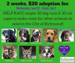 Submit a completed adoption questionnaire for your desired pet. Richmond Animal Care And Control Offering 20 Pet Adoptions