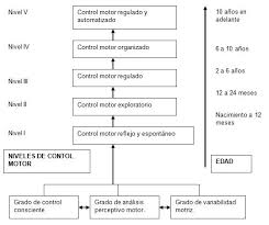 Check spelling or type a new query. Estudio De La Psicomotricidad En El Alumnado De Educacion Primaria