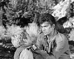 Bonanza (TV Series 1959–1973)