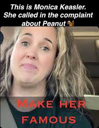 michael Maddi A proud Deplorable (@mikeygolf1951)