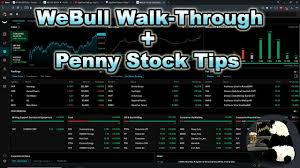 Can you trade penny stocks on robinhood or webull? Webull Walkthrough Penny Stock Trading Tips Free Stocks And Indicator Access For New Deposits Youtube