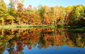 Wisconsin Fall Color Report Wisconsin Dnr