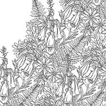 5 out of 5 stars. Amazon Com Flowerscape A Botanical Coloring Book 9781645672166 Enterrios Maggie Books