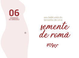 6 Semanas De Gravidez Blog Da Cordvida