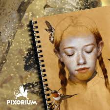 La Reticencia De Lady Anne Saki