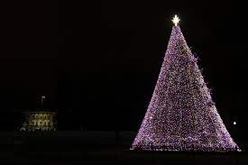 Where Is The National Christmas Tree From 2022 National Christmas Tree (United States) - Wikipedia
