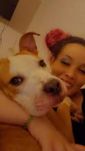 Hope this is ok to post. Saw this and my heart sunk at the thought of  Diamond being put to sleep. Is there anyone that can help?