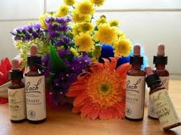 Este tratamiento cuenta con 5 flores que te ayudarán de manera natural a recuperar el equilibrio y tu vibración de manera natural y sin efectos secundarios. Que Son Y Para Que Sirven Las Flores De Bach