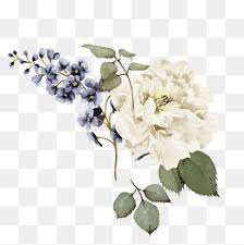 Vector Pattern Flowers Flowers White Flowers Vector White Vector Flower Drawing Design Flowers Vector Pattern