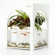 Ecological Aquarium Led Fish Tank Self Water Plant White Le Chateau Selangor End Time 3 21 2013 9 54 00 Am Myt Akuarium Ikan Cupang