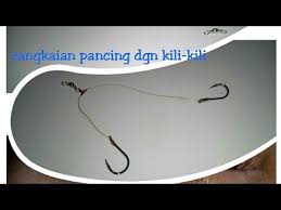 3 cara mengikat kail pancing, video tutorial cara mengikat kail pancing. Ikat 2 Mata Kail Plus Kili Kili Tying 2 Hooks With Swivel Youtube
