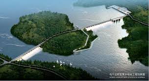 Image result for Dissotis anchietae