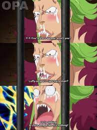 Bartolomeo Meet Mugiwara Crew Bartolomeo One Piece One Piece Manga One Piece Funny