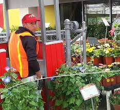 Maybe you would like to learn more about one of these? Houston Garden Centers 13403 South Fwy Houston Tx 77047 Yp Com