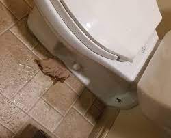 There is a smell of sewage a general smell of sewage is a clear indicator that there is something wrong with your plumbing. Why Is My Toilet Leaking At The Base