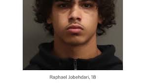 Petition · Deny Bail to 18-Year Old Raphael Jobehdari Accused in a Deadly  Shooting