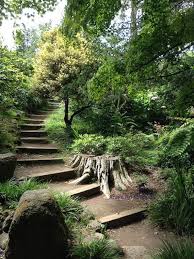Going Up The Path Photo Of San Francisco Botanical Garden Etsy In 2020 Botanical Gardens California Sloped Garden Backyard Landscaping