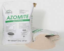 Sun scald the tomato's skin will look bruised or leathery, the skin sunken and puckered. Rock Dust Can It Remineralize The Earth Garden Myths