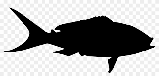 Download Yellowtail Fish Shape Comments Yellow Tail Fish Svg Free Transparent Png Clipart Images Download
