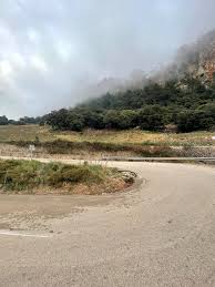 Bölgede toplu taşıma var mı? Support Is Power Facebook