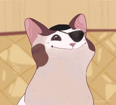There are postcards for cat lovers, punny pranksters, college students, bookworms and all the rest of your funny friends. Democat Smile No Grenade Launcher Pop Cat Know Your Meme