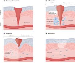 Image result for White 1972 Caloric