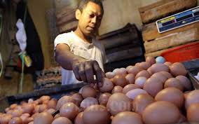 Medan dengan harga sekitar rp 15.300. Harga Telur Ayam Di Sumut Anjlok Karena Stok Melimpah