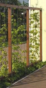 Modern Fence Ideas For Your Backyard Backyard Garden Design Garden Trellis