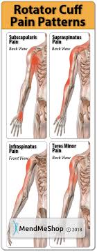 Acute tears may occur when the arm is violently pushed into. Rotator Cuff Tear Symptoms Injury Recovery