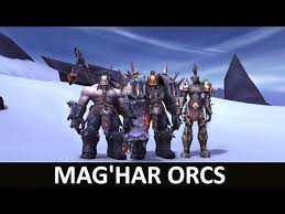 The requirements for unlocking the mag'har orc allied race are. Mag Har Orcs Racials Voice Silly Customization Battle For Azeroth By Edwrow