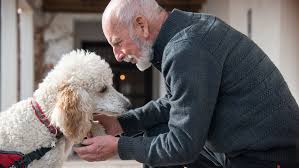 I grew up having a. Therapy Dogs To Improve Mental And Physical Health